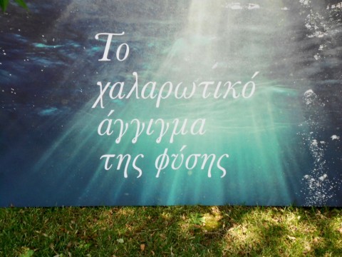DSCN0656