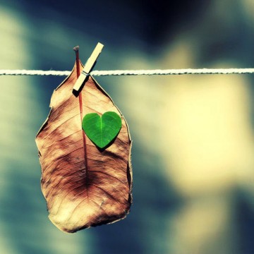 We Love Autumn!