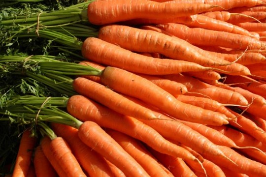 carrots