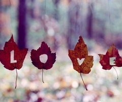 autumn-leaves-love-decor