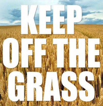 keep-off-the-grass