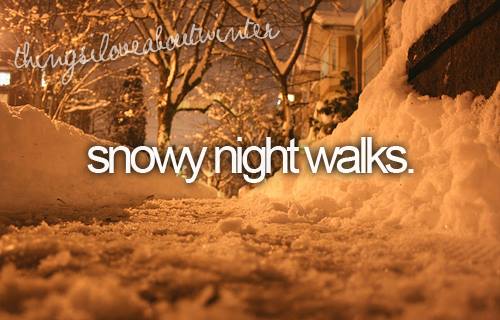 snowy-night-walks