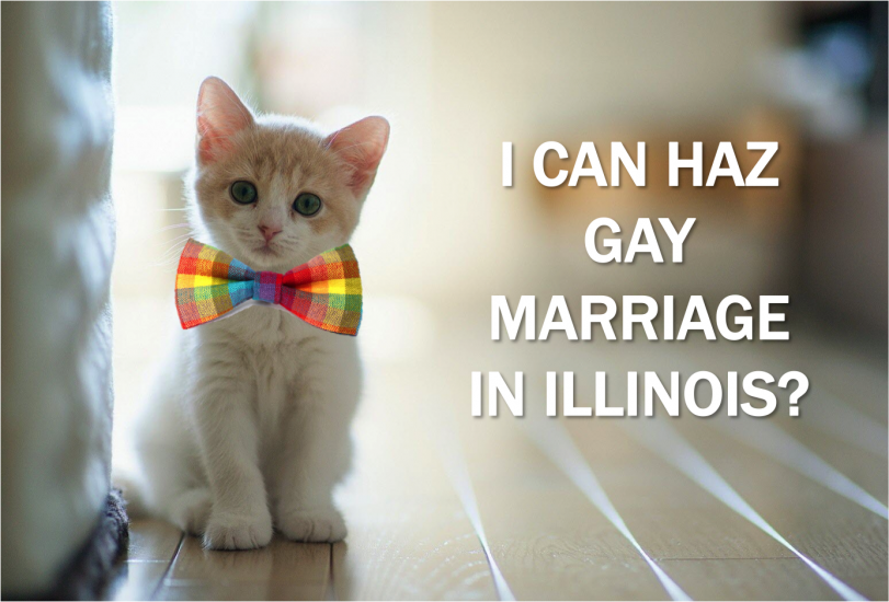 Current-EVent-Cat-Gay-Marriage-Illinois