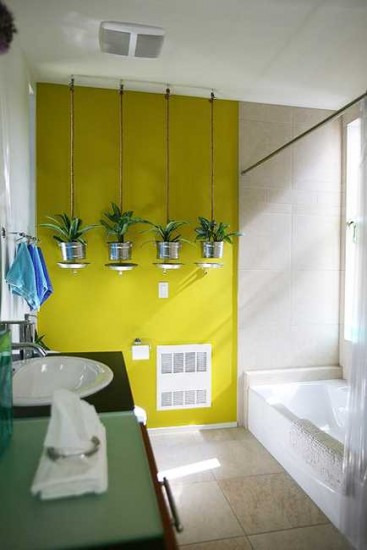 plants-in-bathroom