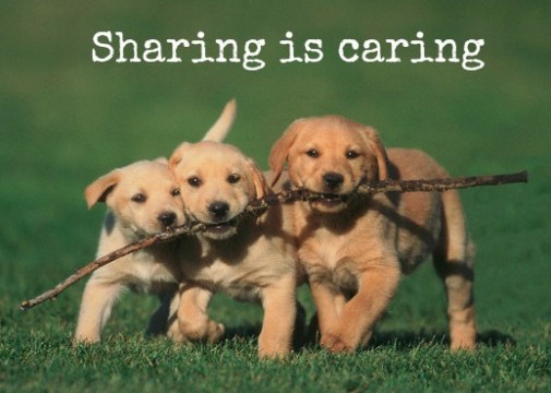 sharing-is-caring