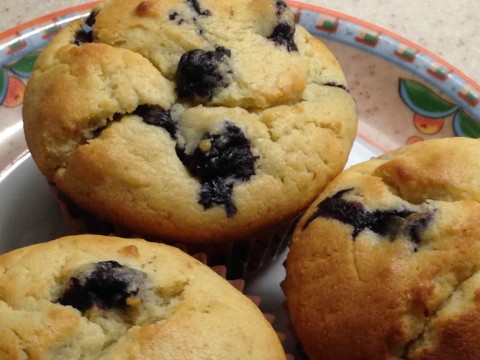 BlueberryMuffin2