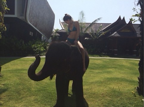 Η Kylie πάνω σε έναν ελέφαντα