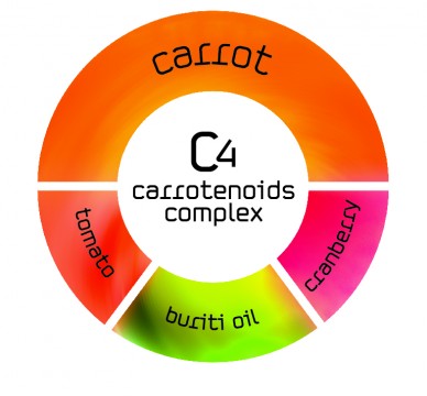 Το C4-carrotenoids complex 