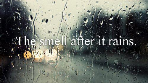 smell-after-rain