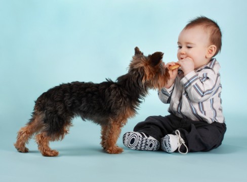 baby boy and dog