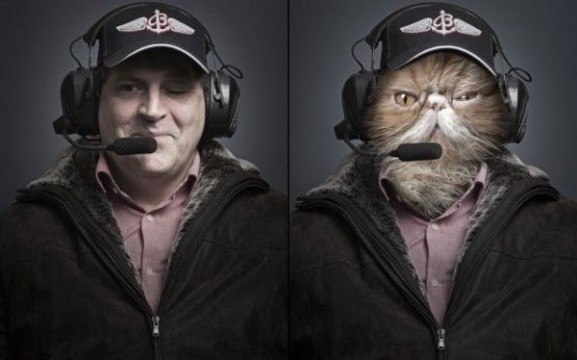 Undercats-cats-as-humans-by-Sebastian-Magnani_2