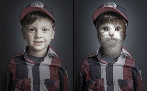 Undercats-cats-as-humans-by-Sebastian-Magnani_3