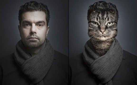 Undercats-cats-as-humans-by-Sebastian-Magnani_4