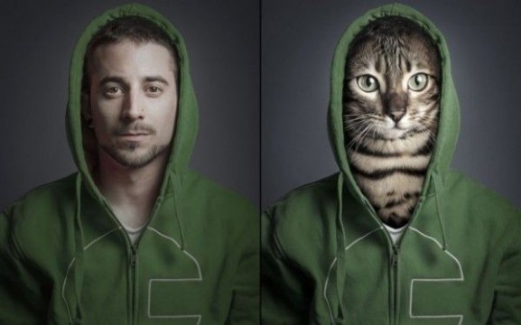 Undercats-cats-as-humans-by-Sebastian-Magnani_5