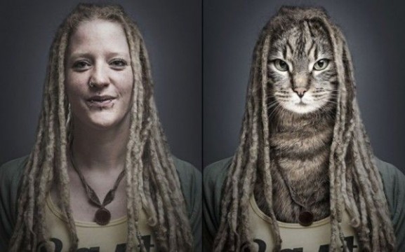 Undercats-cats-as-humans-by-Sebastian-Magnani_6