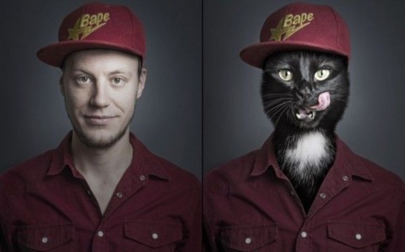 Undercats-cats-as-humans-by-Sebastian-Magnani_7