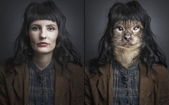 Undercats-cats-as-humans-by-Sebastian-Magnani_8