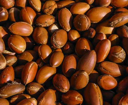 Kαρποί Argan