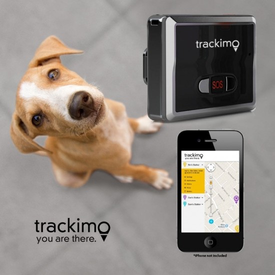 trackimo-pet-2