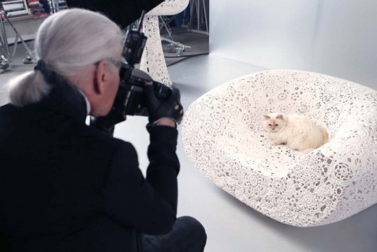 lagerfeld-choupette01