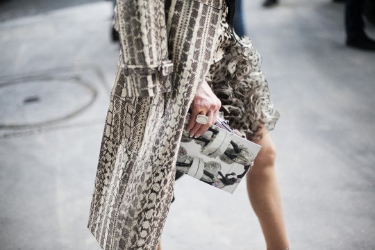 animal-print-street-style-snake-print