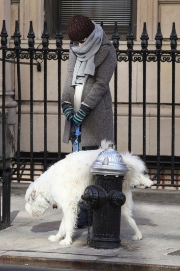 Η Olivia Wilde αψηφά το βαρύ κρύο για να βγάλει βόλτα το σκύλο της
