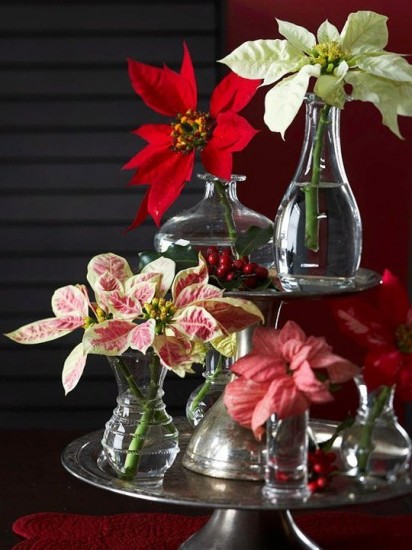 poinsettia-tray