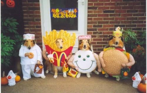 7-dog-mcdonalds-costumes-french-fried-burger