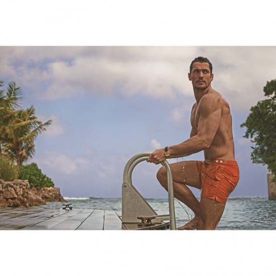 DAVID GANDY FOR AUTOGRAPH SWIM 2