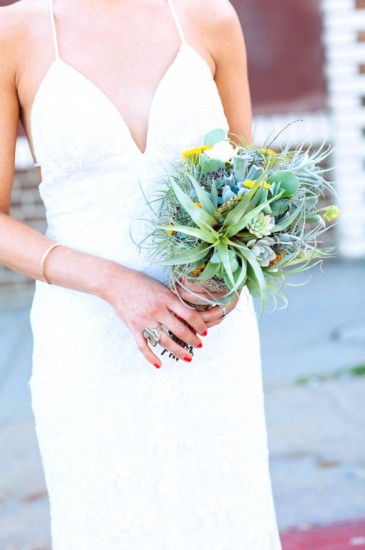 bridal-flower-air-plant