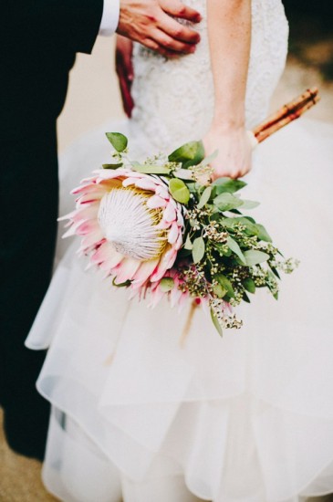 bridal-flower-protea