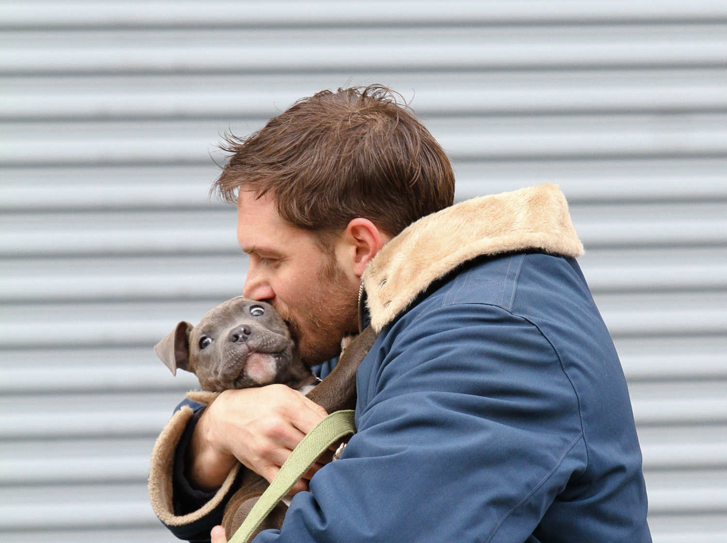 12-tom-hardy-animal-rescue