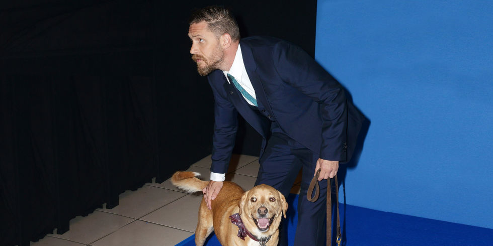 tom-hardy-dog