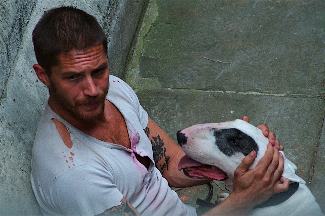 tom-hardy-dog3