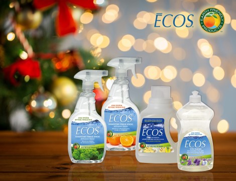 ecos _ xmas2015 tips