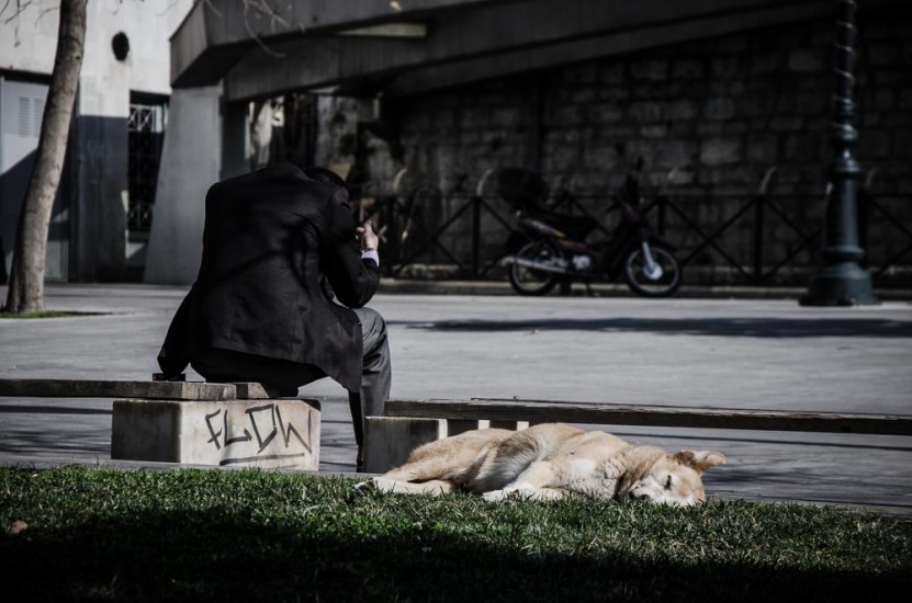 παγκοσμια ημερα αδεσποτων ζωων (12)