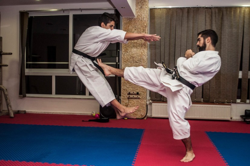 karate1