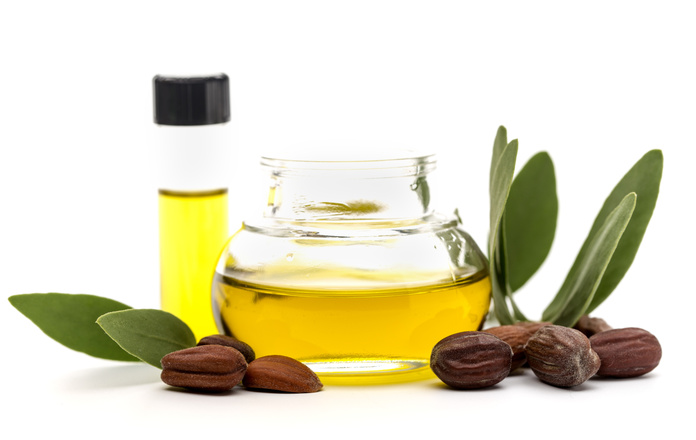 Jojoba oil, seeds and leaves