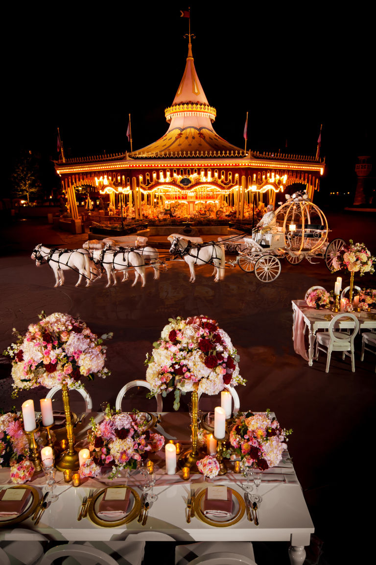 magic-kingdom-wedding-night