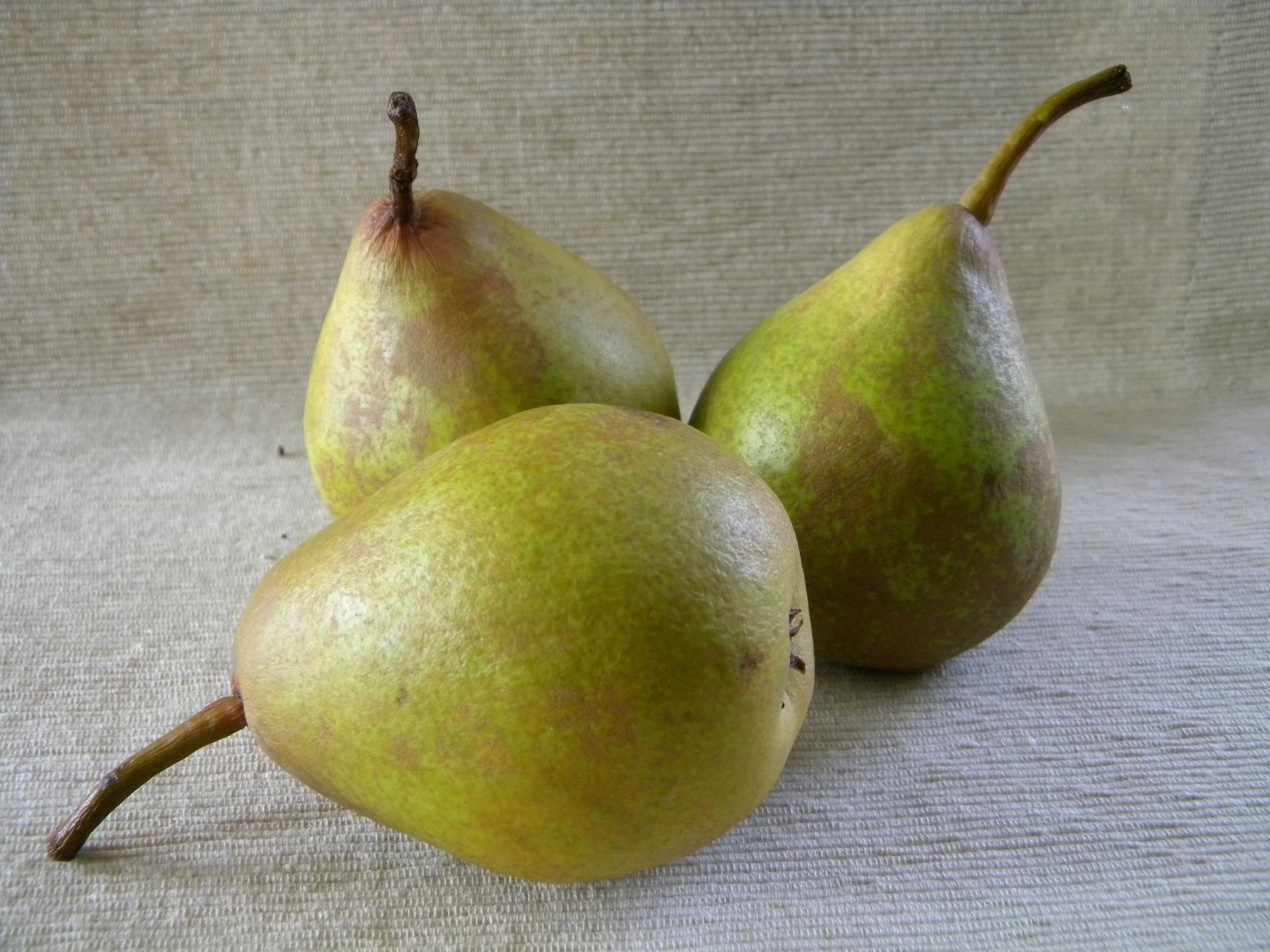 pears (Large)