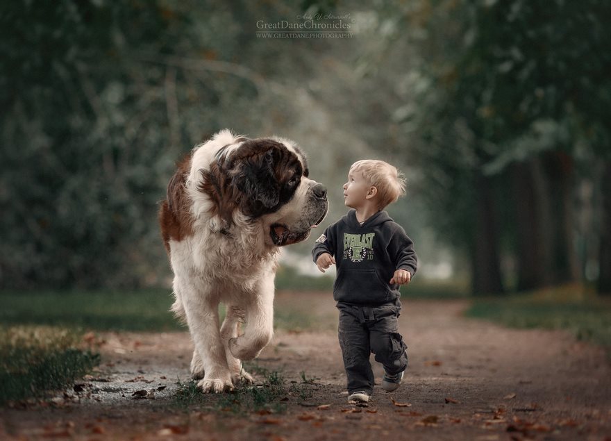 little-kids-big-dogs-photography-andy-seliverstoff-5-584fa907a3cb6__880