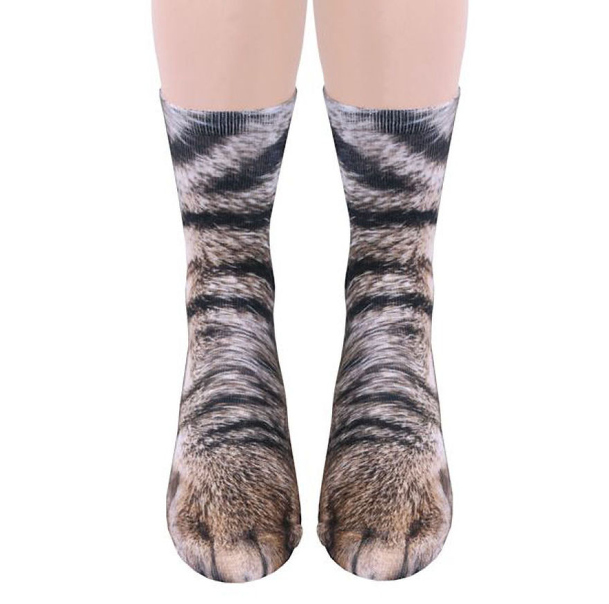 socks-animal-paws-4-593e8821e74d5__880