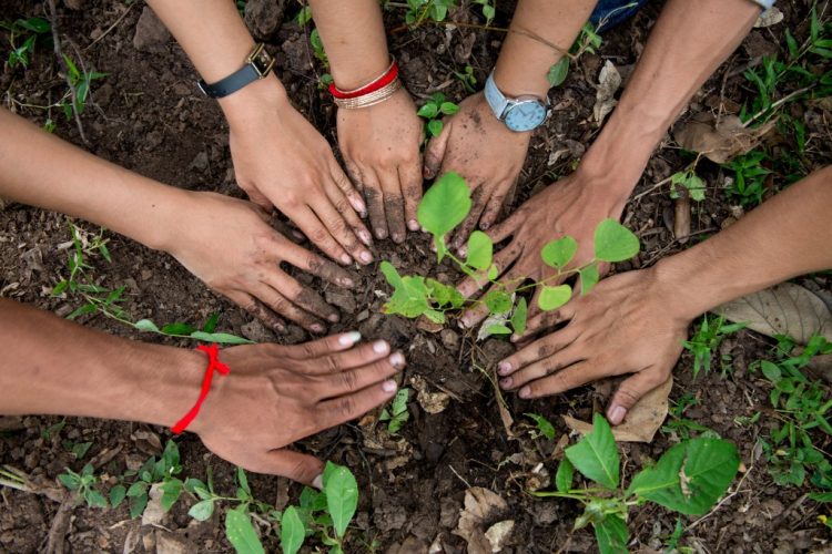 Tree-Planting-Cambodia-2014-Luc-Forsyth-50-1024x683